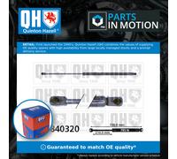 QUINTON HAZELL QTS840320 Tailgate strut
