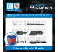 QUINTON HAZELL QTS128273 Tailgate strut