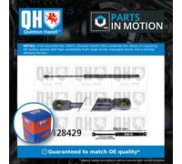 Boot Gas Strut QTS128429 Quinton Hazell Spring Lift Tailgate Rear 21086308010