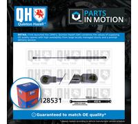 QUINTON HAZELL QTS128531 Tailgate strut