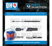 Boot Gas Strut QTS128810 Quinton Hazell Spring Lift Tailgate Rear 4B9827552J New