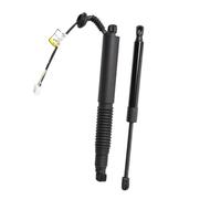 Boot Gas Struts 1551488-99-B 1551488-00-C 1551488-98-B 1551489-00-B 2PCS Rear Electric Liftgate Trunk Strut For Tesla For Model 3 2021-2023 Car Tailgate Strut