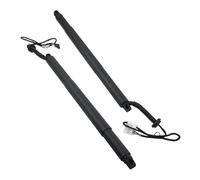 Boot Gas Struts 2PCS FOR BMW X6 F16 REAR PAIR SPINDLE DRIVE/GAS STRUT SPRING FOR AUTO TAILGATE BOOT 51247318651 51247318652 Trunk Lift Support