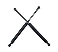 Boot Gas Struts 2Piece Replacement for BMW For X5 E53 1999 2000-2006 Car Front Bonnet Hood Gas Struts Lift Support Rod Bars Dampers 51238402551 Tailgate Lift Supports