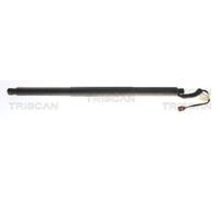 Boot Lid Gas Spring Strut TRISCAN Fits SKODA Kamiq 19- 658827852B