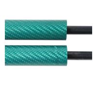 Boot Shock Lift Support For Civic For 5th Eg Eh Ej 1991 1992 1993 1994 1995 Front Bonnet Lift Supports Shock Dampers Piston Rod Spring Props(Green Carbon Fiber)