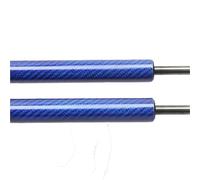 Boot Struts Rear Tailgate Lift Supports For Nissan 350Z Z33 Coupe 2003-2009 Without Spoiler Gas Struts Springs Dampers Tailgate Gas Struts(Blue carbon fiber)