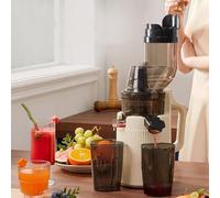 BOOZXCV 200W Slow Juicer, Silent Fresh Juicer 9cm 600ml+98% Pure Juice Content+Juice Dregs Separation+Forward and Reverse Rotation Multifunctional Household Juicer,A (A)