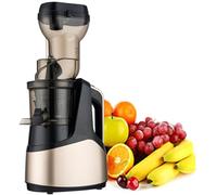 BOOZXCV Small Household Fully Automatic Juicer, Fruit Multifunctional Juicer Easy Operate Clean Slow Speed Slow Pressure 7-Segment Spiral Shaft Transparent Container,Red (Gold)