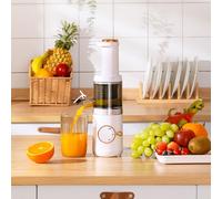 BOOZXCV Small Portable Electric Juicer, Multifunctional Household Juicer Residue Separation Slow Juicer for Fruits and Vegetables 98% Pure Juice+Residue,White