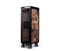 Bordbar X Instabilelab Aircraft Trolley Orointenso - smoked glass Bordbar - 11013307-S