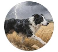 Border Collie 1000 Piece Wildlife Round Jigsaw Puzzles Challenging & Brainteasing Beautiful Decoration for Adults And Kids 1000pcs (67.5x67.5cm)