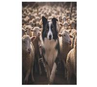 Border Collie 1000 Piece Wooden Jigsaw Puzzles for Adults & Kids - Puzzle for Teens 78×53cm