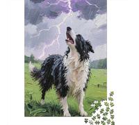 Border Collie 1000 Pieces Puzzles Challenging And Brainteasing Puzzle Jigsaw Puzzles Colorful Challenging Beautiful Decoration 1000pcs (75x50cm)