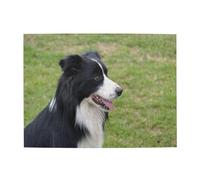 Border Collie 2,500 Pieces Puzzles for Adults-Wooden Jigsaw Puzzle for Adults Elderly