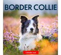 Border Collie 2026 Calendar: Beautiful Border Collies in Stunning Photography - A Year of Intelligence, Energy, and Loyalty