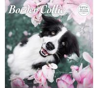 Border Collie 2026 Deluxe Calendar