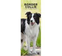 Border Collie 2026 Wall Calendar, 12-Month Slim Format, Made in England