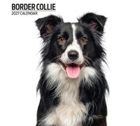 Border Collie 2027 Modern Calendar