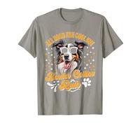 Border Collie All Dogs are Cool Border Collie Rule Funny T-Shirt, Men, Slate Grey, Large