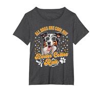 Border Collie All Dogs are Cool Border Collie Rule Funny T-Shirt, Women's Plus, Dark Heather Grey, 2X