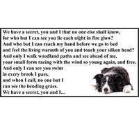 Border Collie Bereavement pet Dog Loss Flexible Fridge Magnet - We Have a Secret