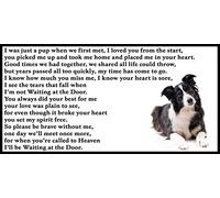 Border Collie Bereavement pet Dog Loss Memorial Flexible Fridge Magnet/Magnetic Sign - Waiting at The Door