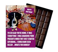 Border Collie Birthday Boxed Chocolate Gift Silly Present Card for Dog Lovers Funny 100 Gram Belgian Milk Chocolate Greeting Bar Not a Dog Treat Human Consumption Only