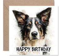 Border Collie Birthday Card for Men Women - Dog Breeds - Happy Birthday Card for Uncle Neighbour Dad Grandad, 145mm Bday Greeting Cards