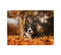 Border Collie Bokeh Autumn Black Border Collie Adults 500 Pieces Puzzles-Jigsaw Wooden Puzzle for Adults Elderly