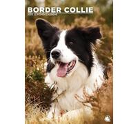 Border Collie Calendar 2025