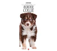 Border Collie Calendar 2026 Long