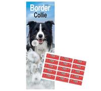 Border Collie Calendar 2026 Slimline Calendar with FREE Organisational Stickers, Border Collie Gift
