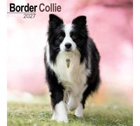 Border Collie Calendar 2027, Wall Calendars, Month To View, Dogs, Gift