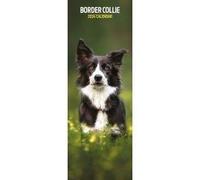 Border Collie Calendar - Slim - 15x42cm