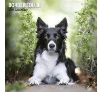 Border Collie Calendar - Traditional - 30x30cm