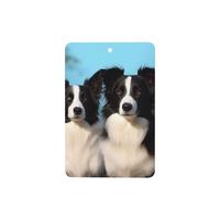 Border Collie Car Air Fresheners 6 Pcs, Funny Hanging Car Air Fresheners Cute Long Lasting Scented Mirror Hanging Decoration Ornaments Gift Interior Decor Accessories For Men Women