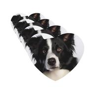 Border Collie Car Air Fresheners Cards Set of 4 Pieces Personalized Car Fresheners Gifts for Men Women Auto Aromatherapy Tablets Hanging Scented Cards for Wardrobe Bathroom