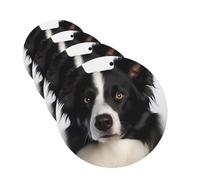 Border Collie Car Air Fresheners Cards Set of 4 Pieces Personalized Car Fresheners Gifts for Men Women Auto Aromatherapy Tablets Hanging Scented Cards for Wardrobe Bathroom
