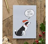 Border Collie Christmas Card