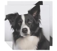 Border Collie Cloth Napkin 2 PCS Table Dinner Napkins Washable & Reusable Cloth Napkins Washable Tablecloth for Party, Wedding, Lunch, Dinners, Banquet, Christmas