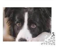 Border Collie Dog 1000 PieceJigsaw Puzzle for Adults PuzzlesEducationalChef Cooking Kitchen Art Game Challenging PuzzlesPuzzle Game for The Whole for Women, Gifts for Men38x26cm/1000pcs