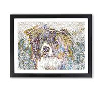 Border Collie Dog 2 Modern BG Framed Print | A4 Black Framed Wall Art | Ready to Hang | Modern Animal Picture | Living Room Bedroom Lounge Office