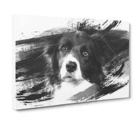 Border Collie Dog 2 V1 Canvas Print | Gallery Wrapped 30mm Frame Wall Art | 30x20 inches | Ready to Hang | Modern Animals Picture | Living Room Bedroom Lounge Office