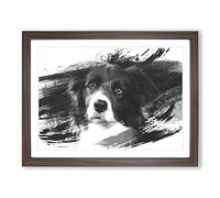 Border Collie Dog 2 V1 Modern Framed Print | A4 Walnut Framed Wall Art | Ready to Hang | Modern Animal Picture | Living Room Bedroom Lounge Office