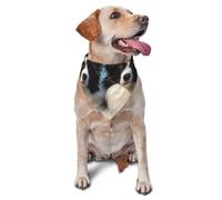Border Collie Dog Bandanas Triangle Puppy Scarfs for Boy and Girl, Washable Daily Bibs Handkerchief Customize Dog & Cat Neckwear, Birthday Cute Soft Pet Scarf Kerchief