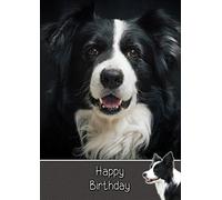 Border Collie Dog Birthday Card