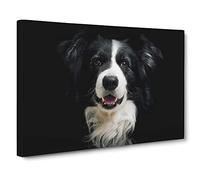 Border Collie Dog Canvas Print | Gallery Wrapped 30mm Frame Wall Art | 24x16 inches | Ready to Hang | Modern Animals Picture | Living Room Bedroom Lounge Office
