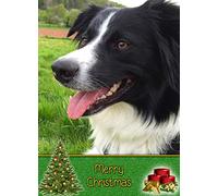 Border Collie Dog Christmas Card 'Merry Christmas' - Special Animal Xmas Card for Him Her from Pets Kids