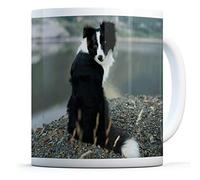 Border Collie Dog - Drinks Mug Cup Kitchen Birthday Office Fun #12385